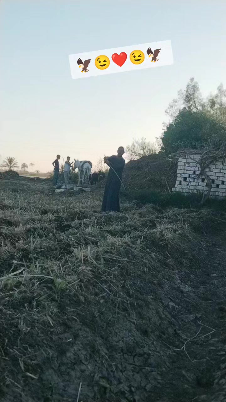 @🦅الفايز للهيبه عنوان 🇰🇼🇪🇬