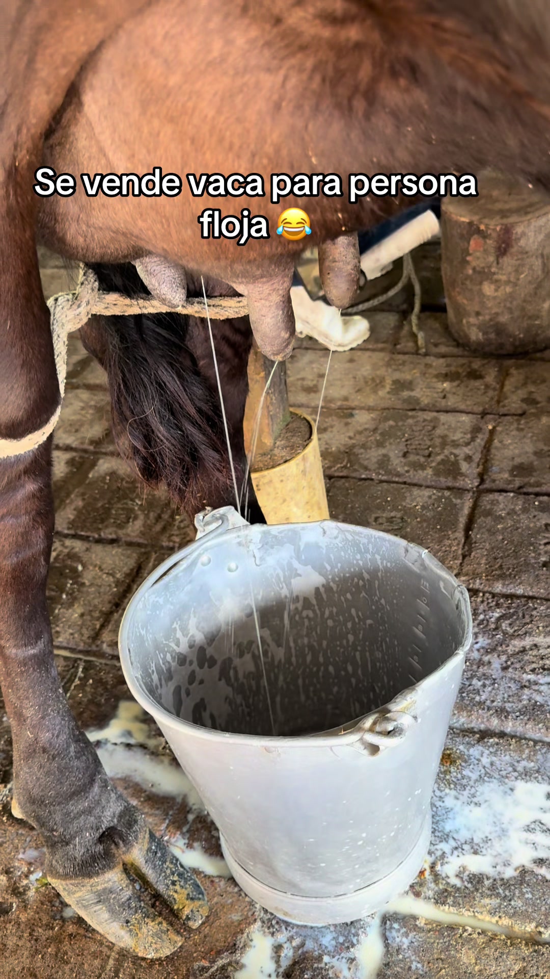 @Jhonatan Cabrera Var