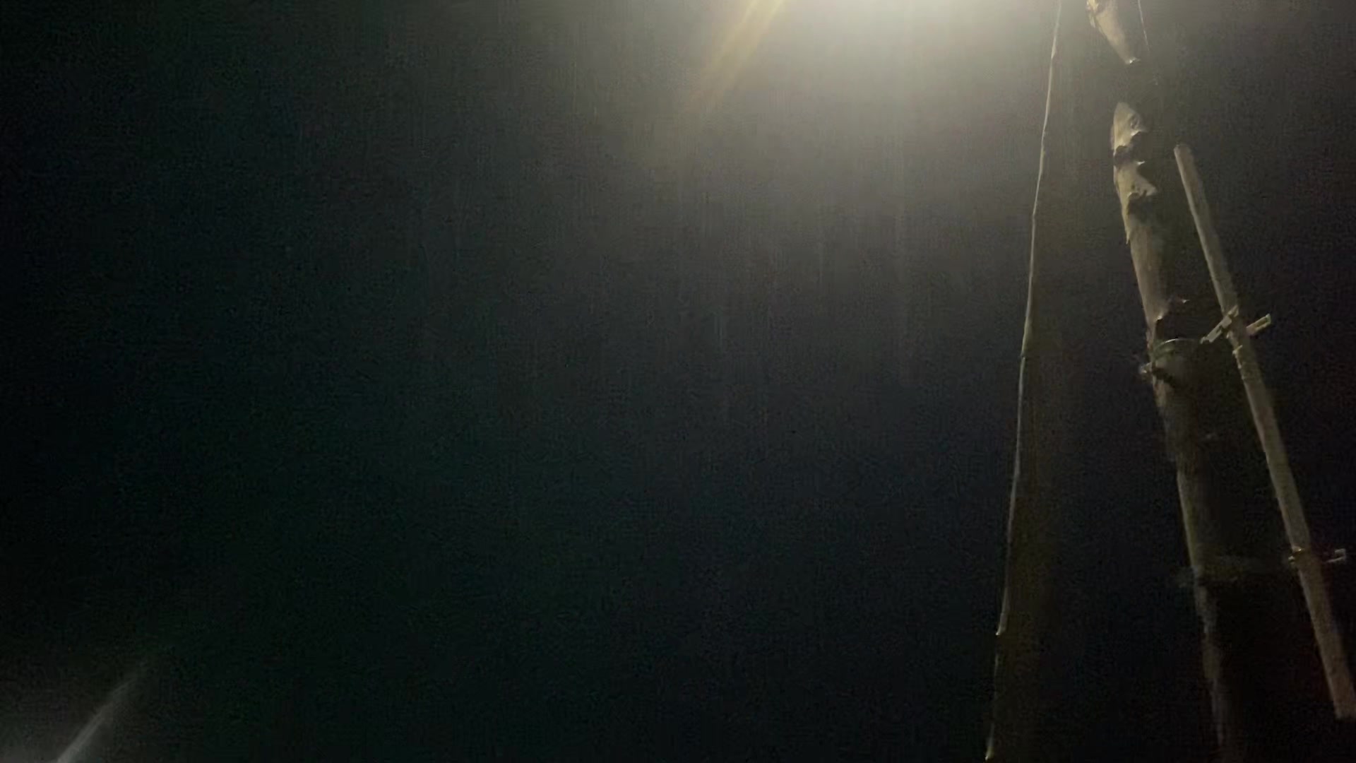 @duureeduuree