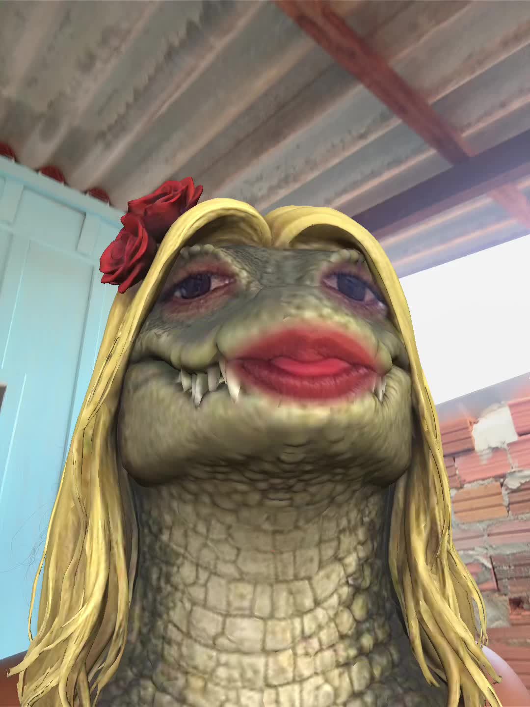@cuca_da_mata