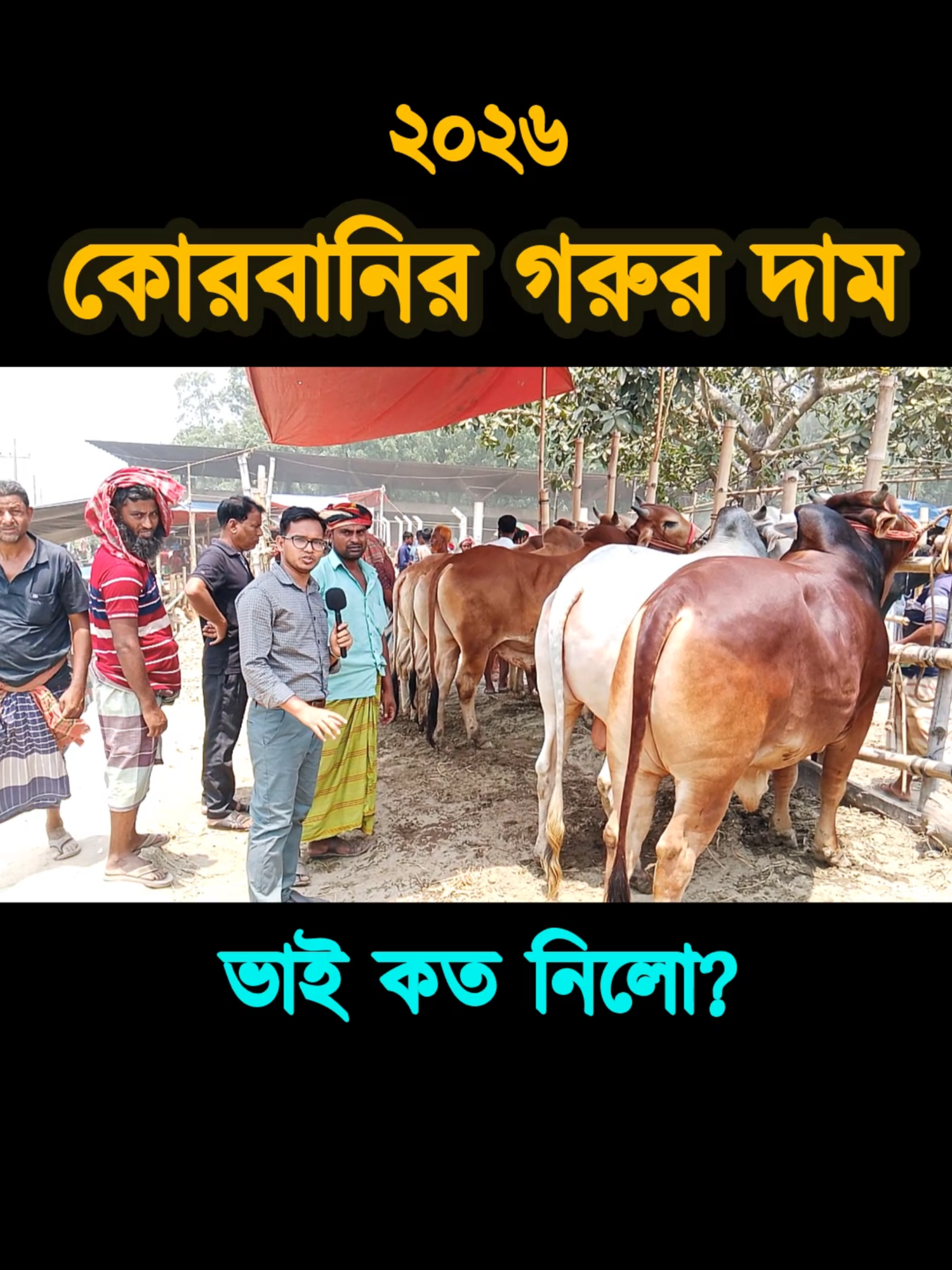 @Nayeem Islam