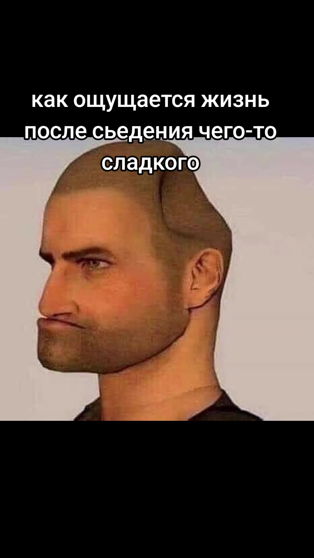 @sir kochka