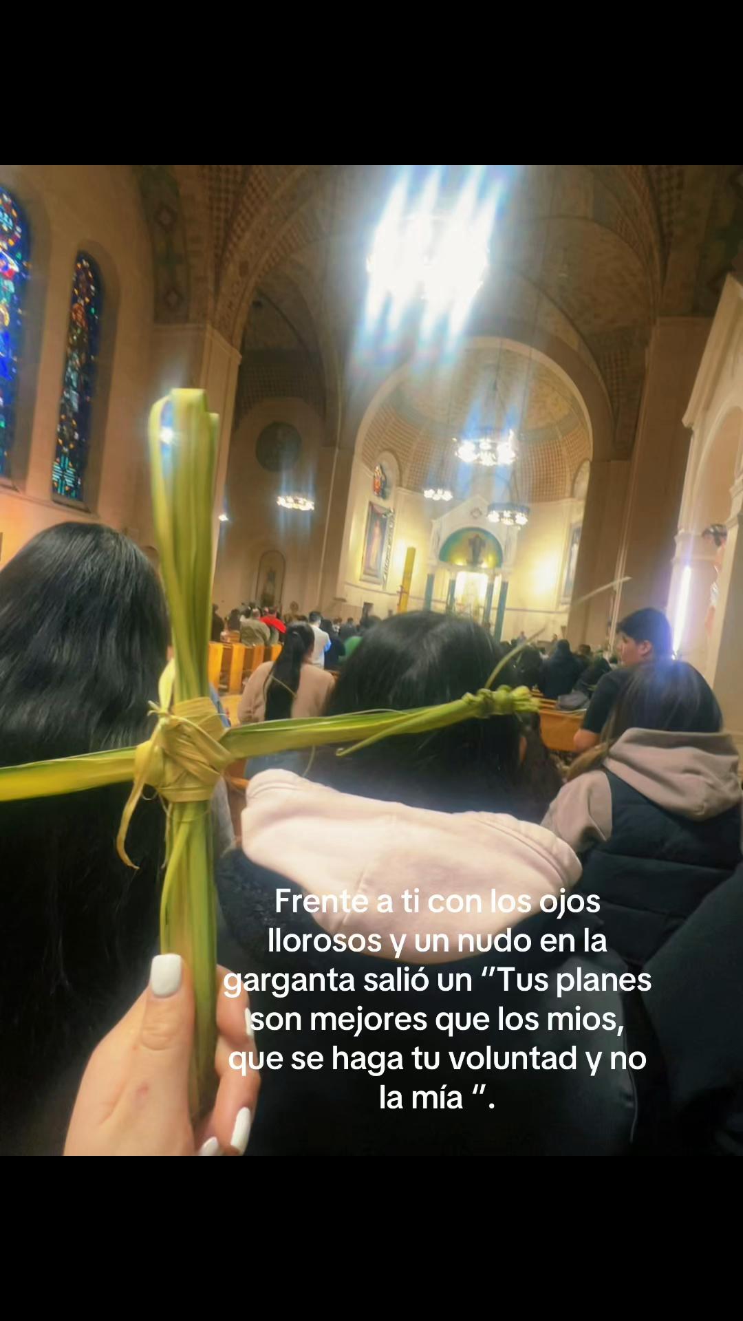 @Fiorela💖