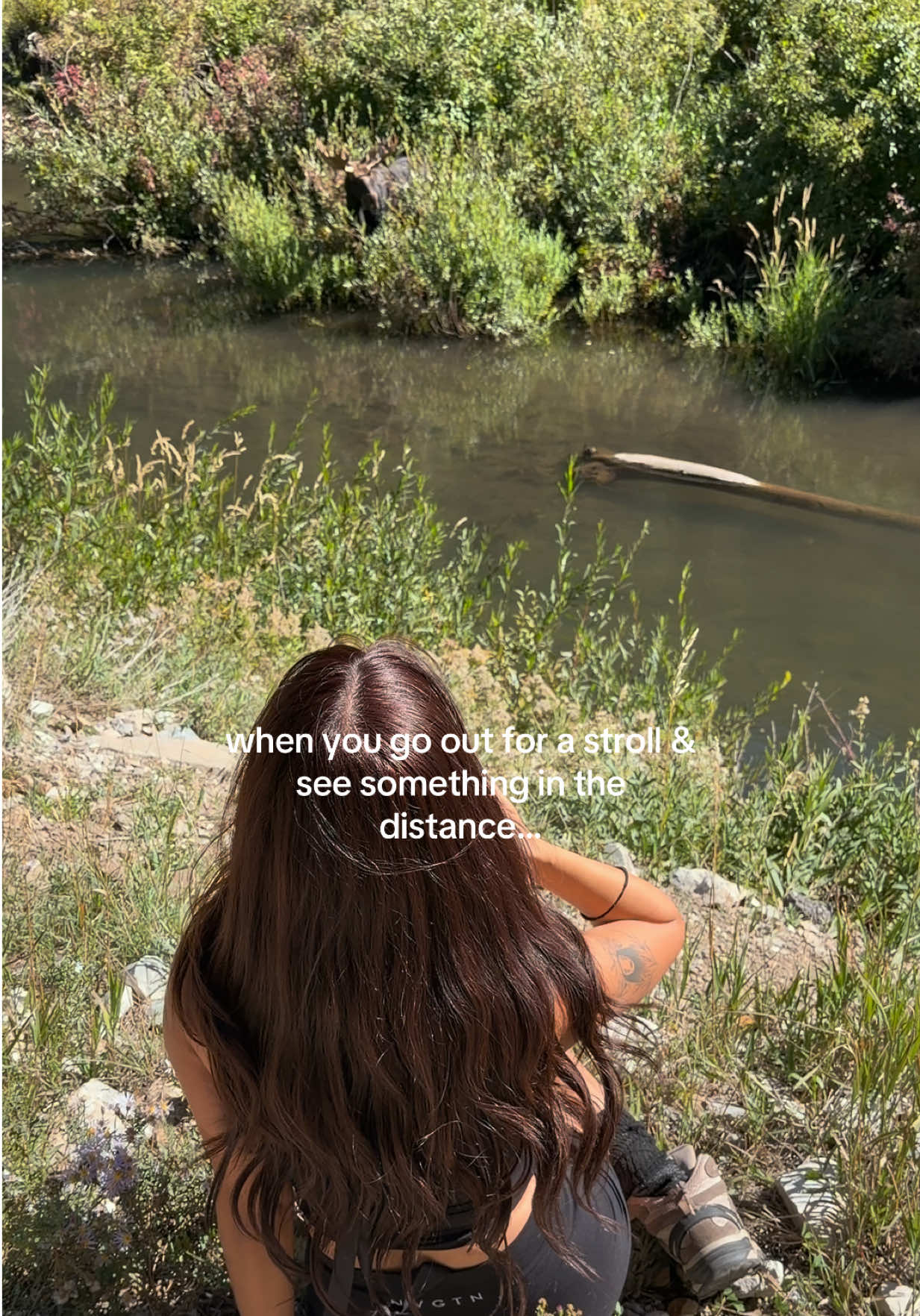@Melanie Martinez