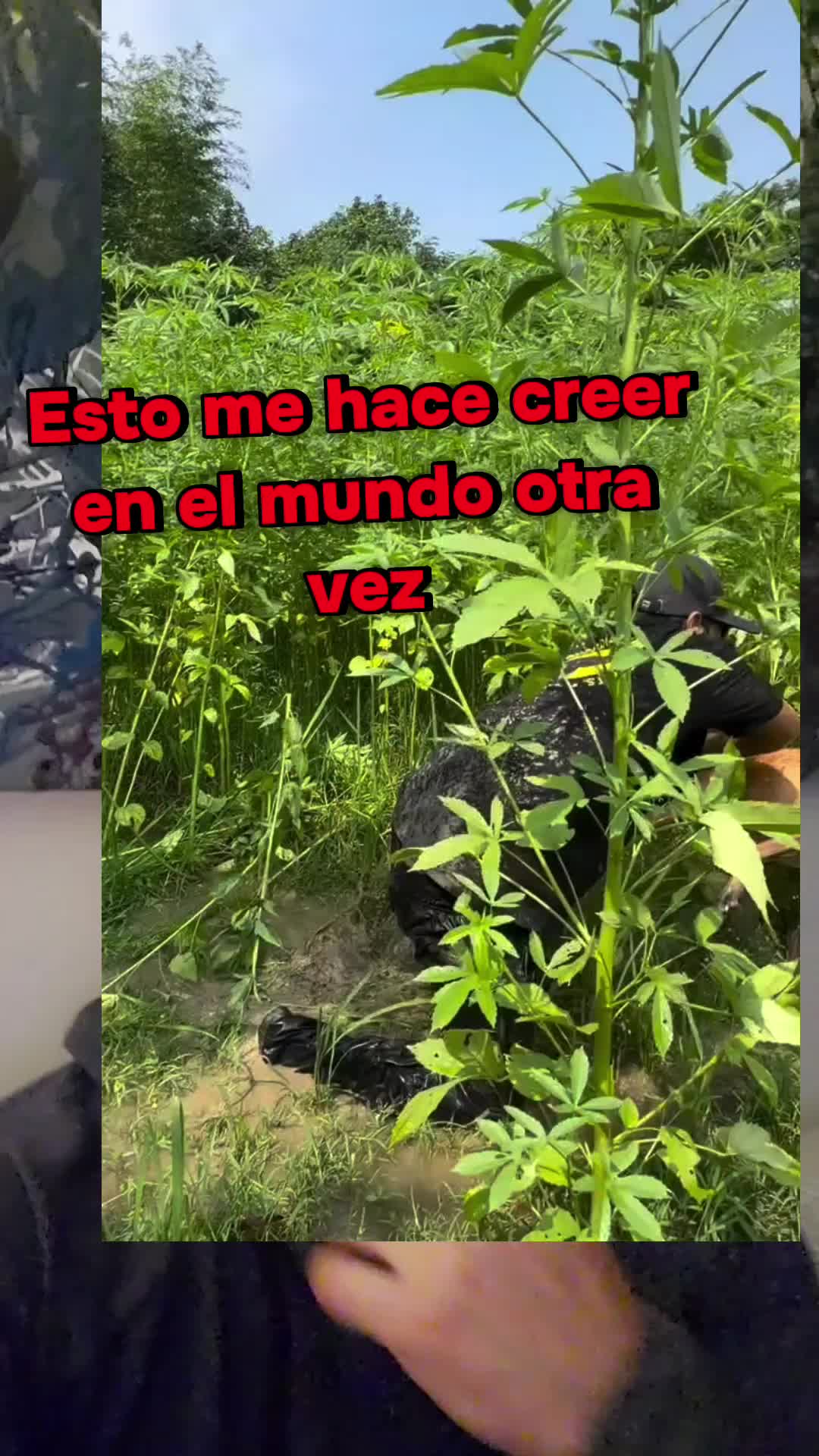 @Júpiter7