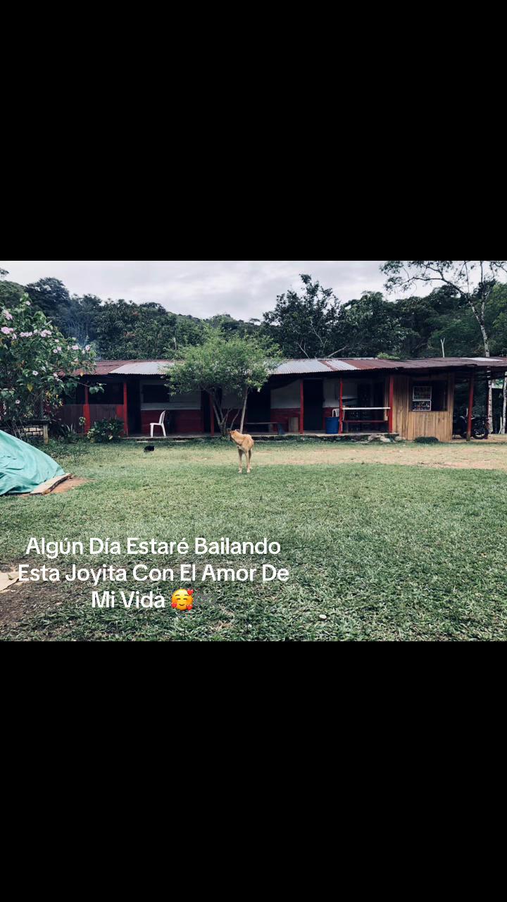 @Edna Garzón
