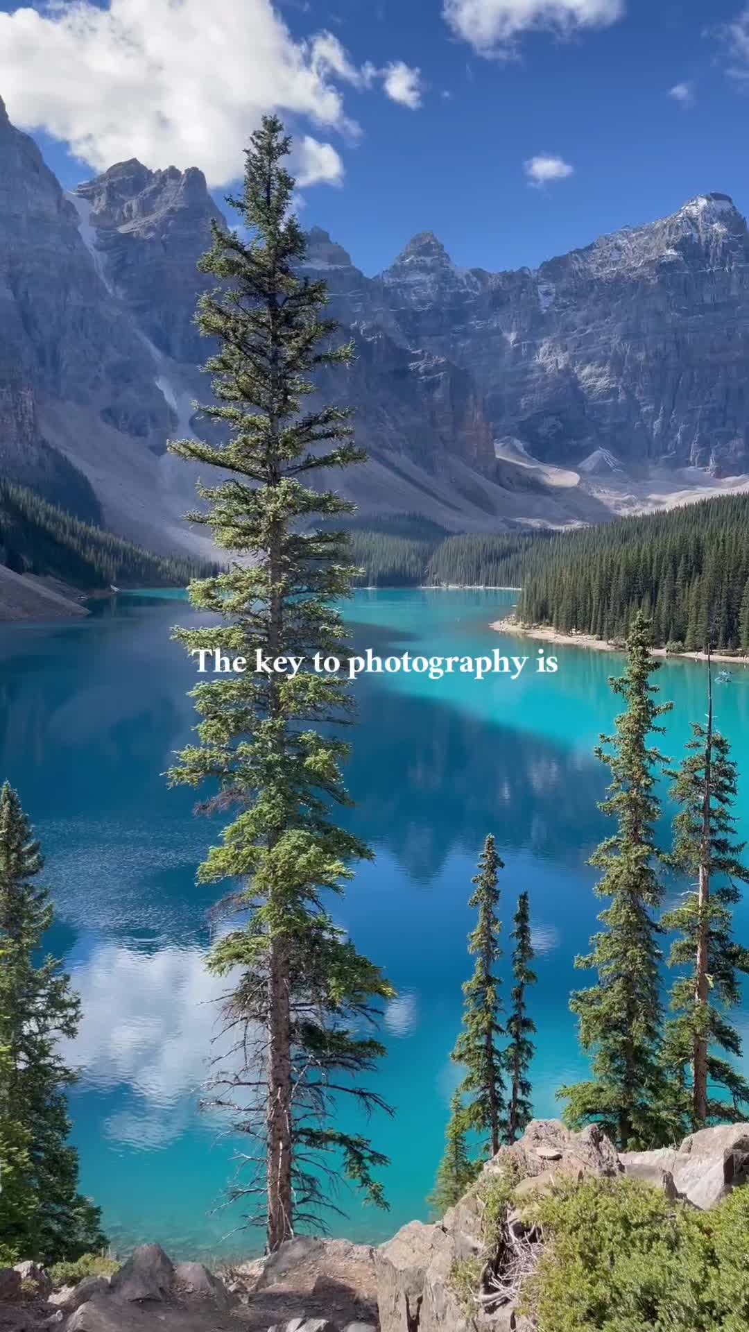 @user222333764