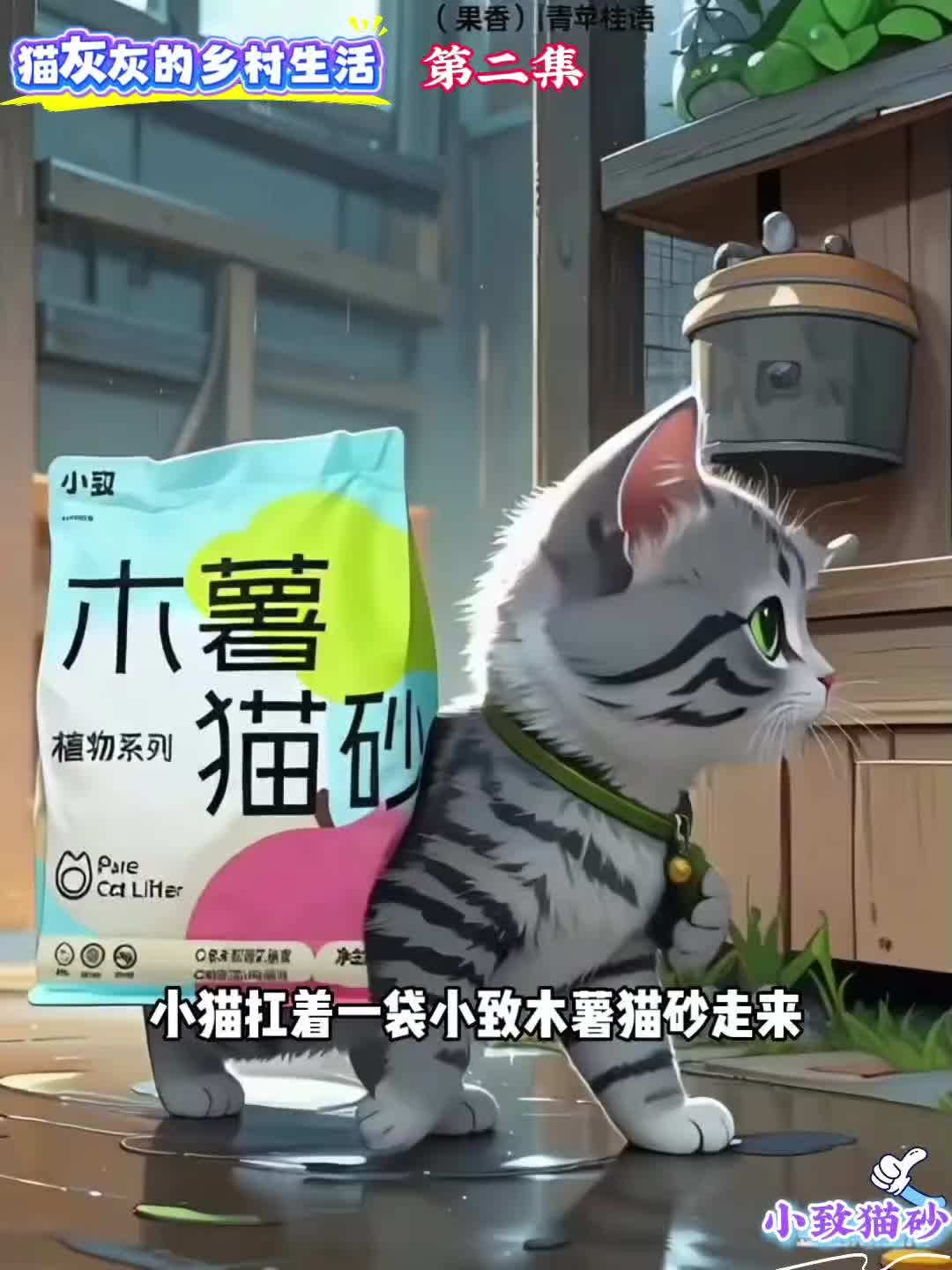 @小致猫砂国内外招代理商