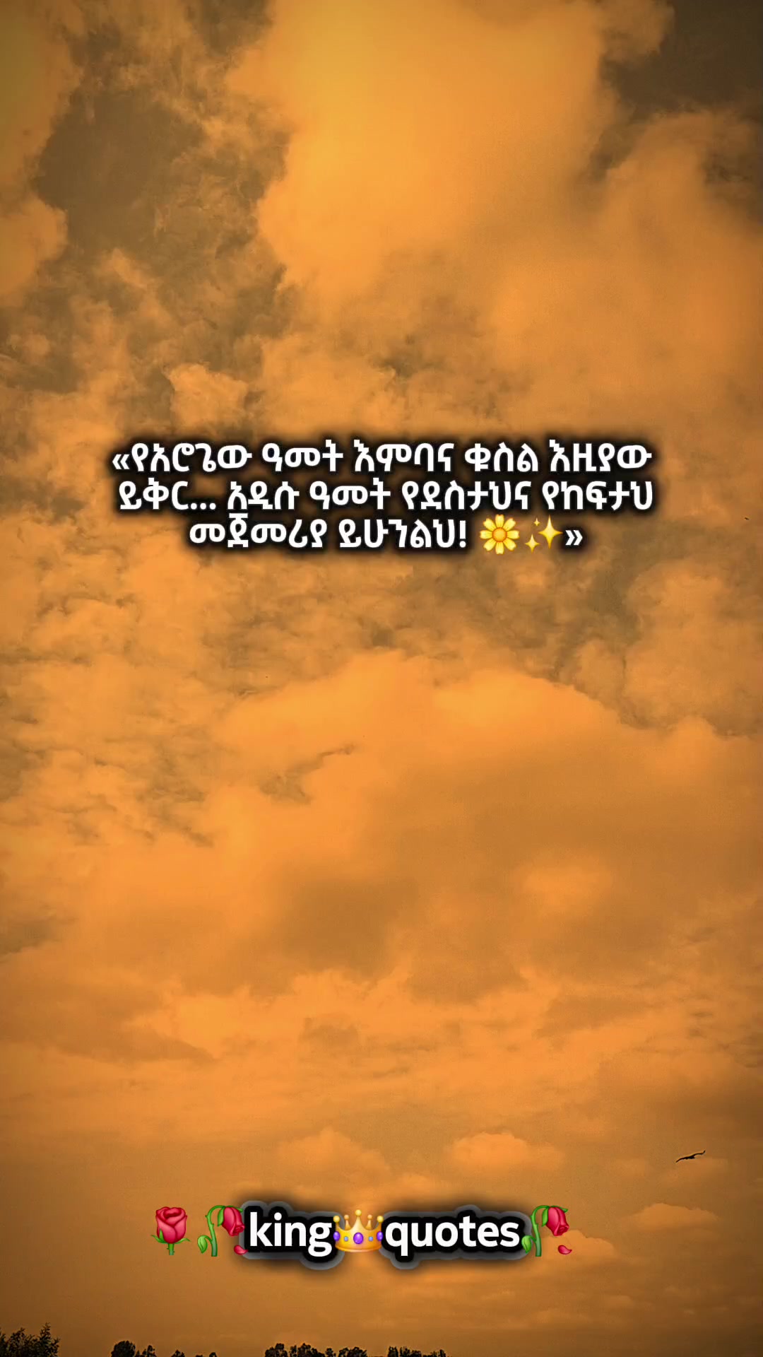 @🌹🌾king👑 quote's 🥀🥀