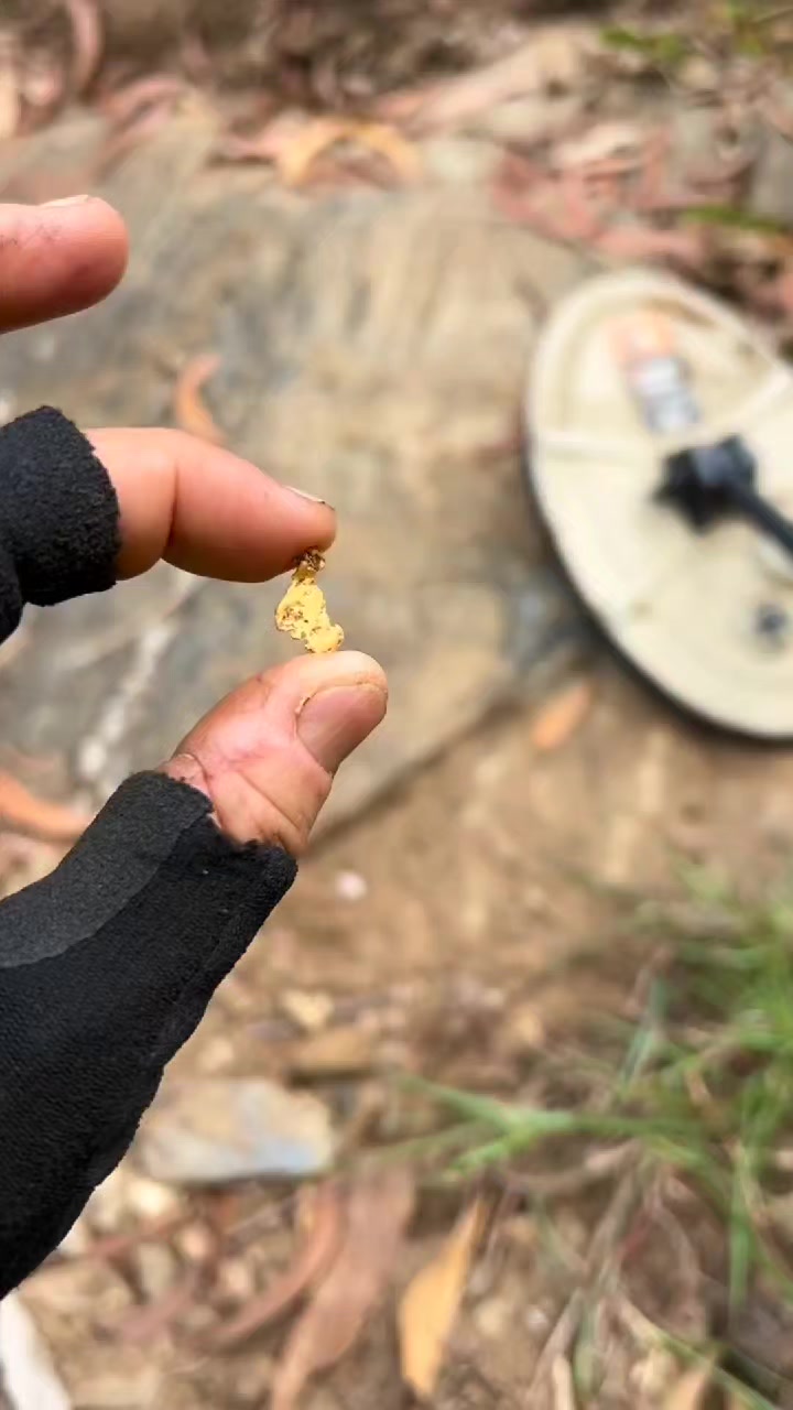 @Gold 22
