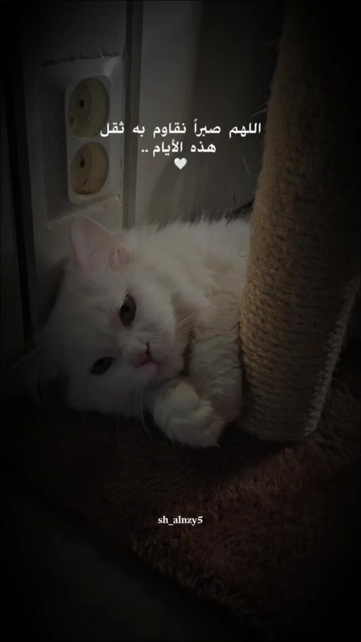 @شامان العنزي