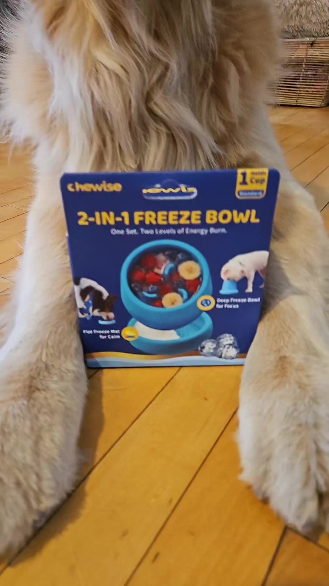 @🐶Griffin
