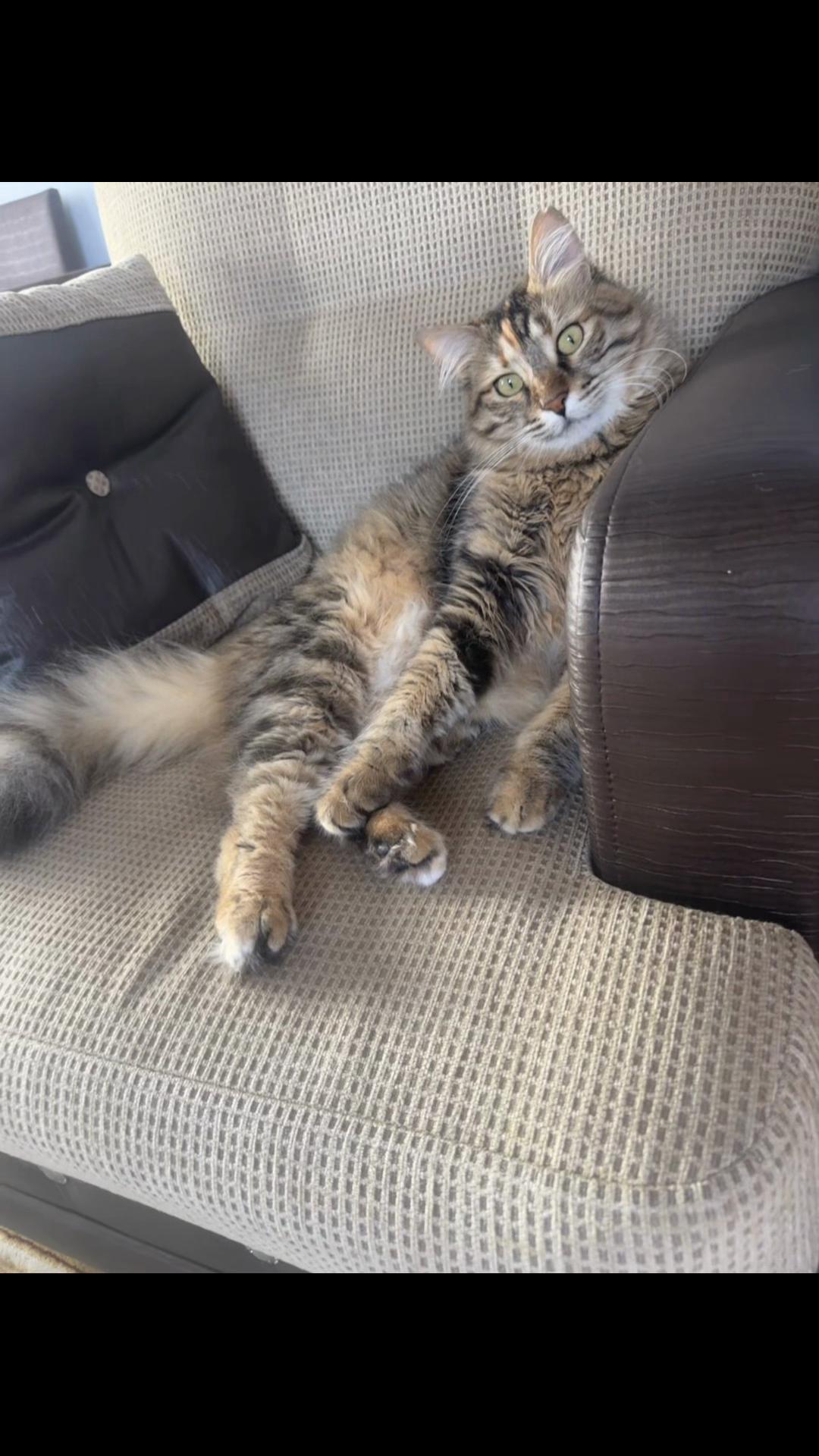@nazlı sultan