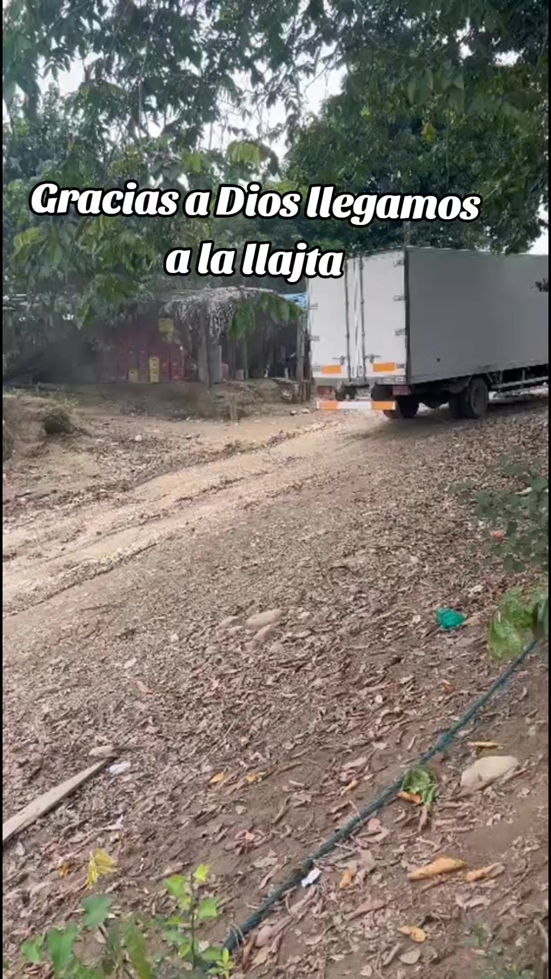 @Dante claros V.