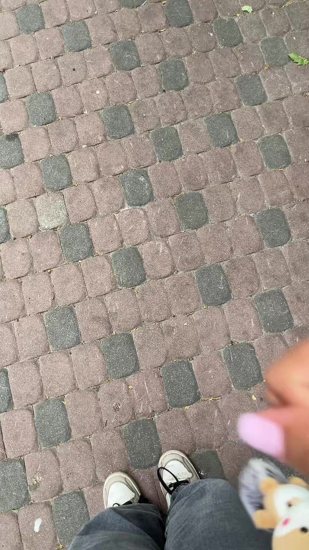 @renata.ilya