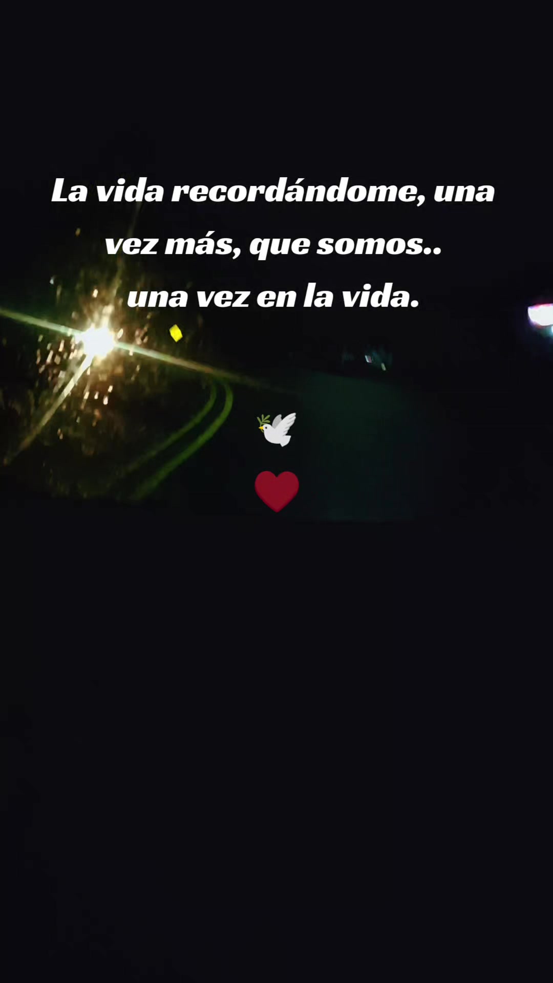 @mariamchavesg
