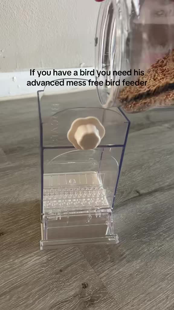 @𝐀𝐧𝐠𝐞𝐥 🐚