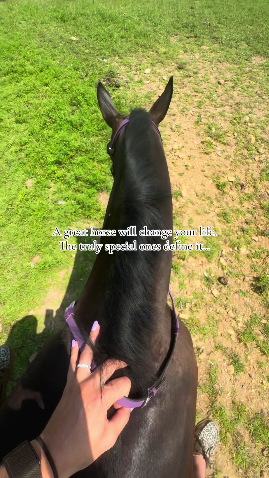 @Equestrian |🦄 Mom