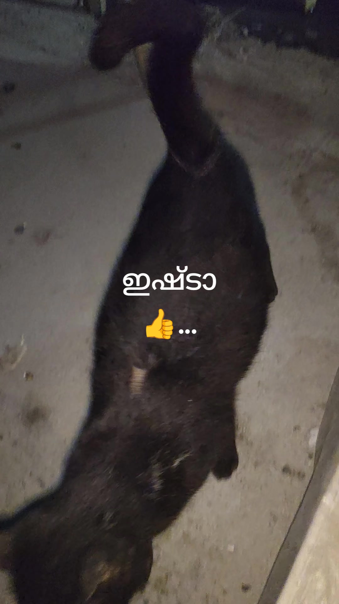 @chinnu👍🏽