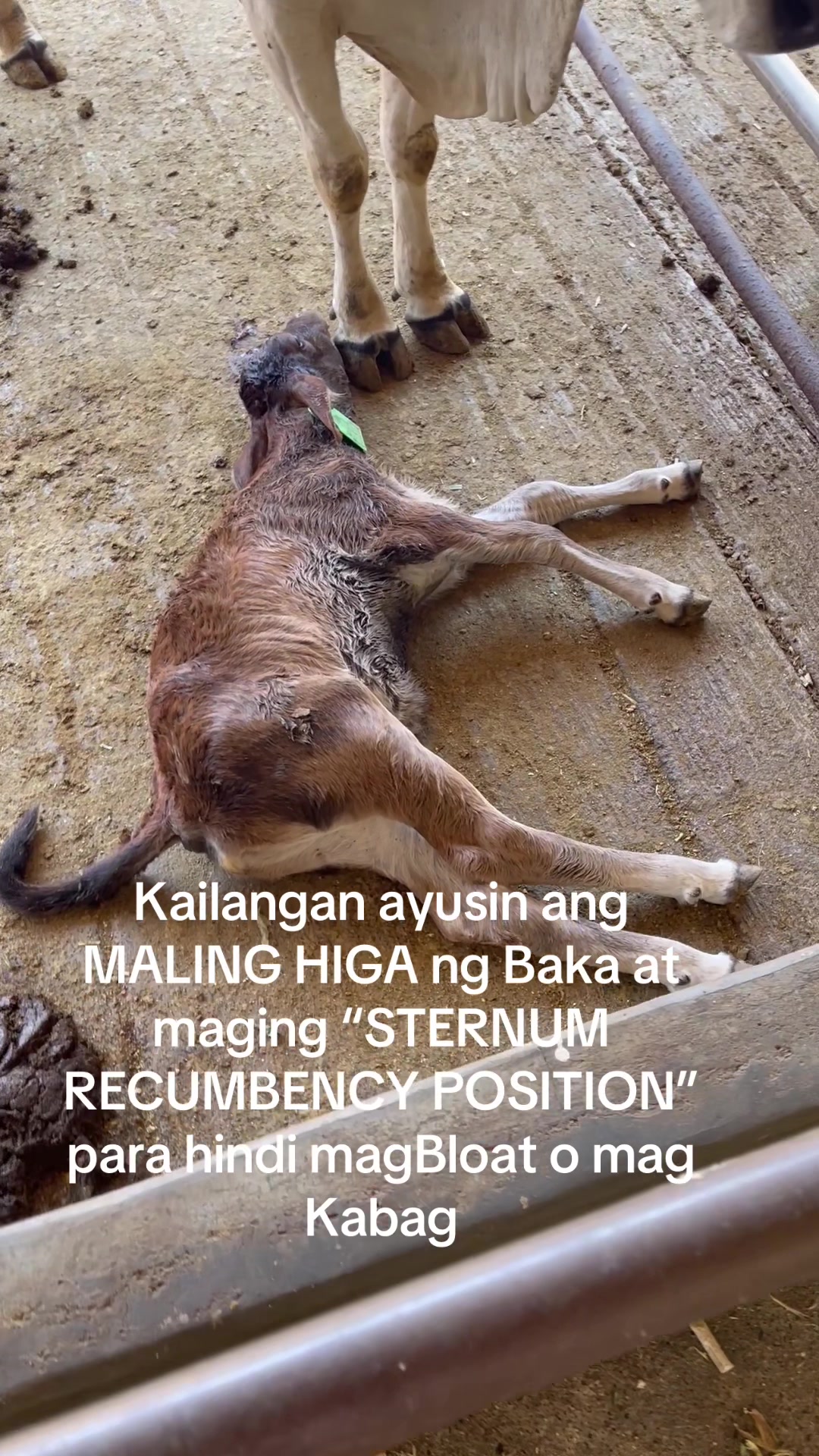 @ATTY. RAUL &ldquo;Kabaka&rdquo; LAMBINO