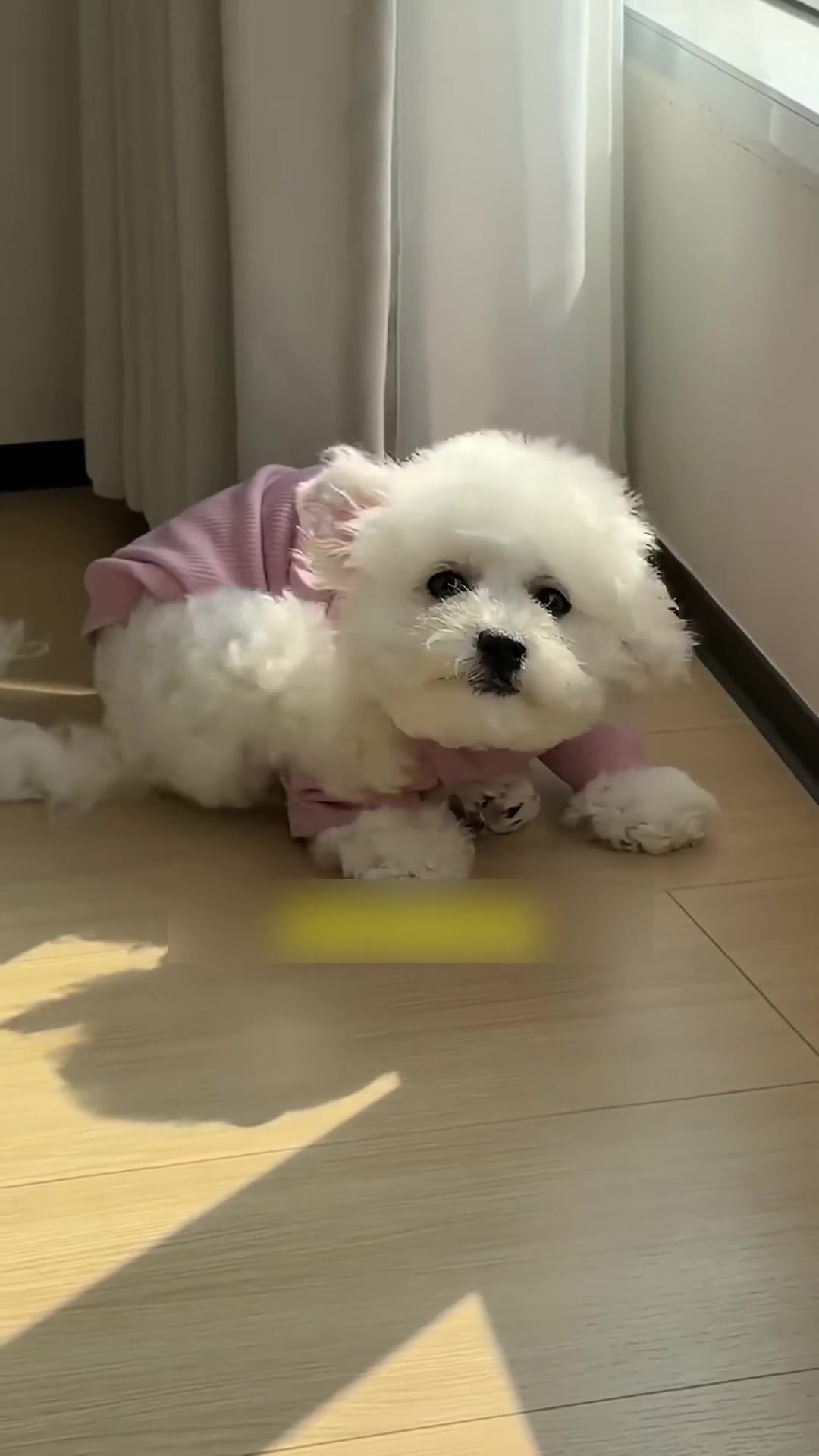 @เจียงเจียงคังคัง