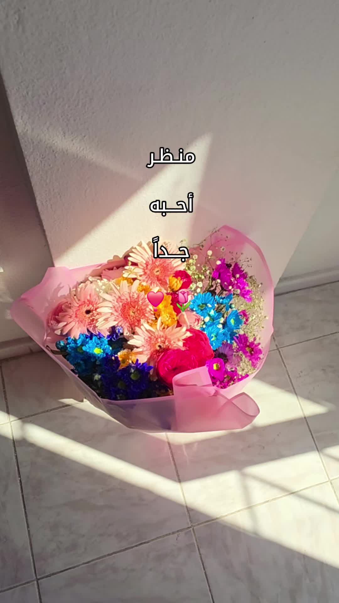 @الـهـآدئہ 𝑪𝒂𝒍𝒎 🦢🎀