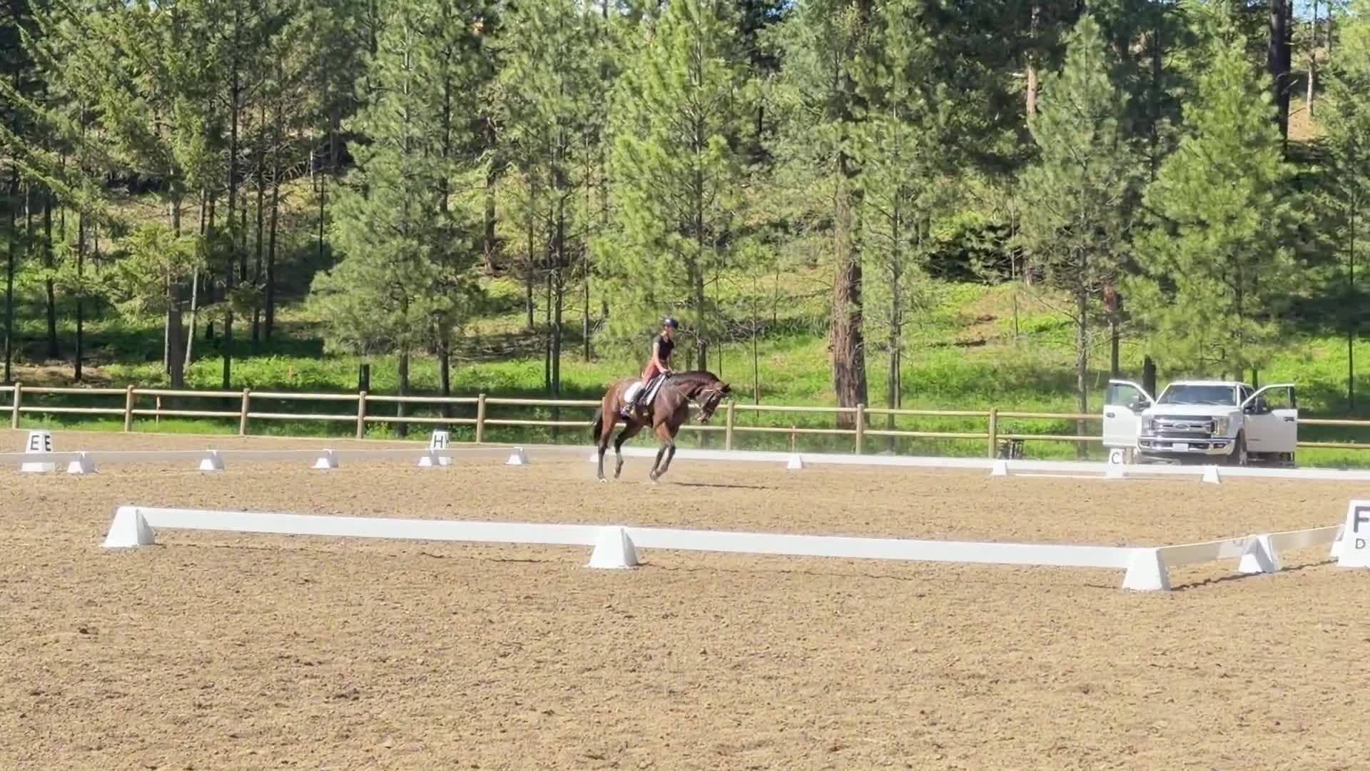 @🐴equestrian🐴