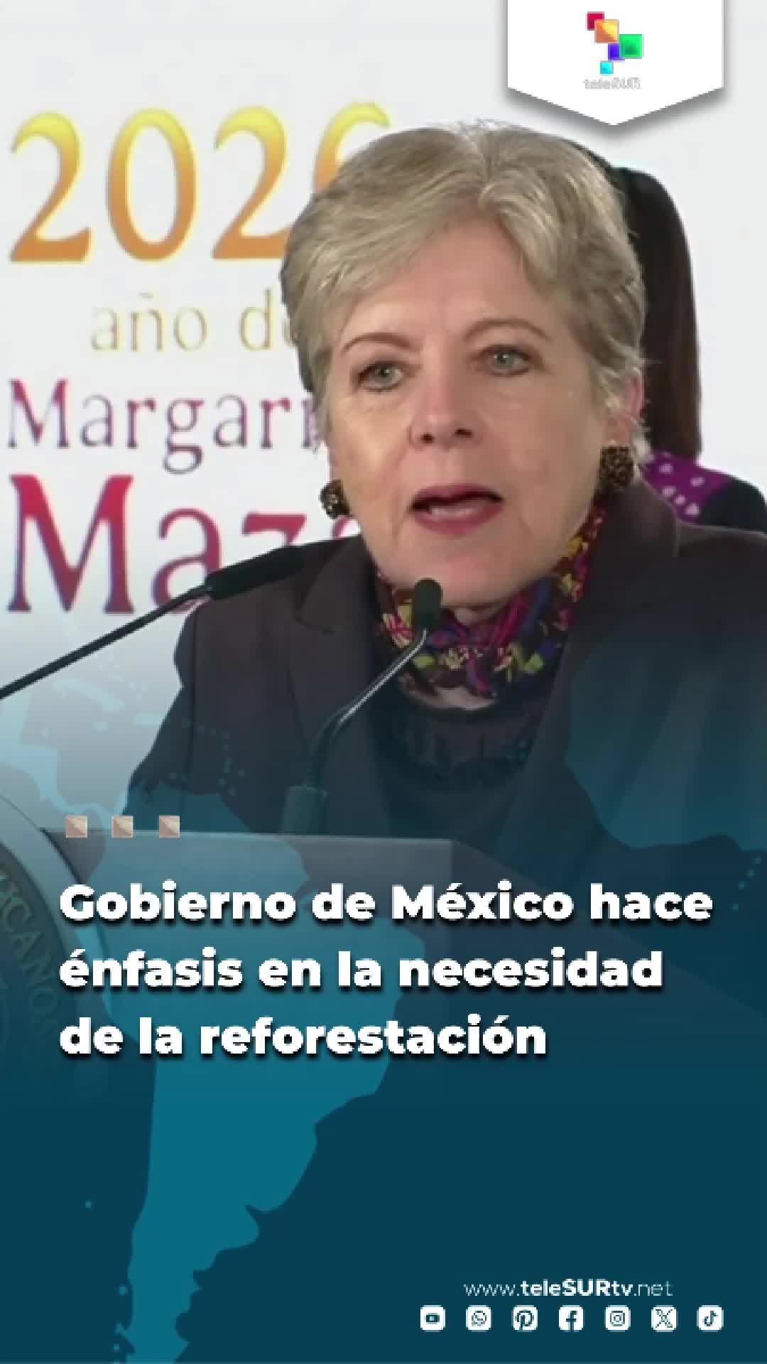 @teleSUR Clips