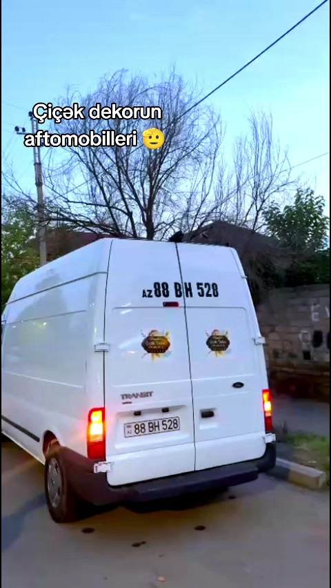 @Rustem Remzioglu musiqi&ccedil;i
