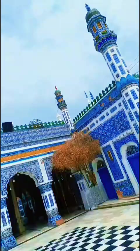 @باغي گروپ برينڊ ملاح