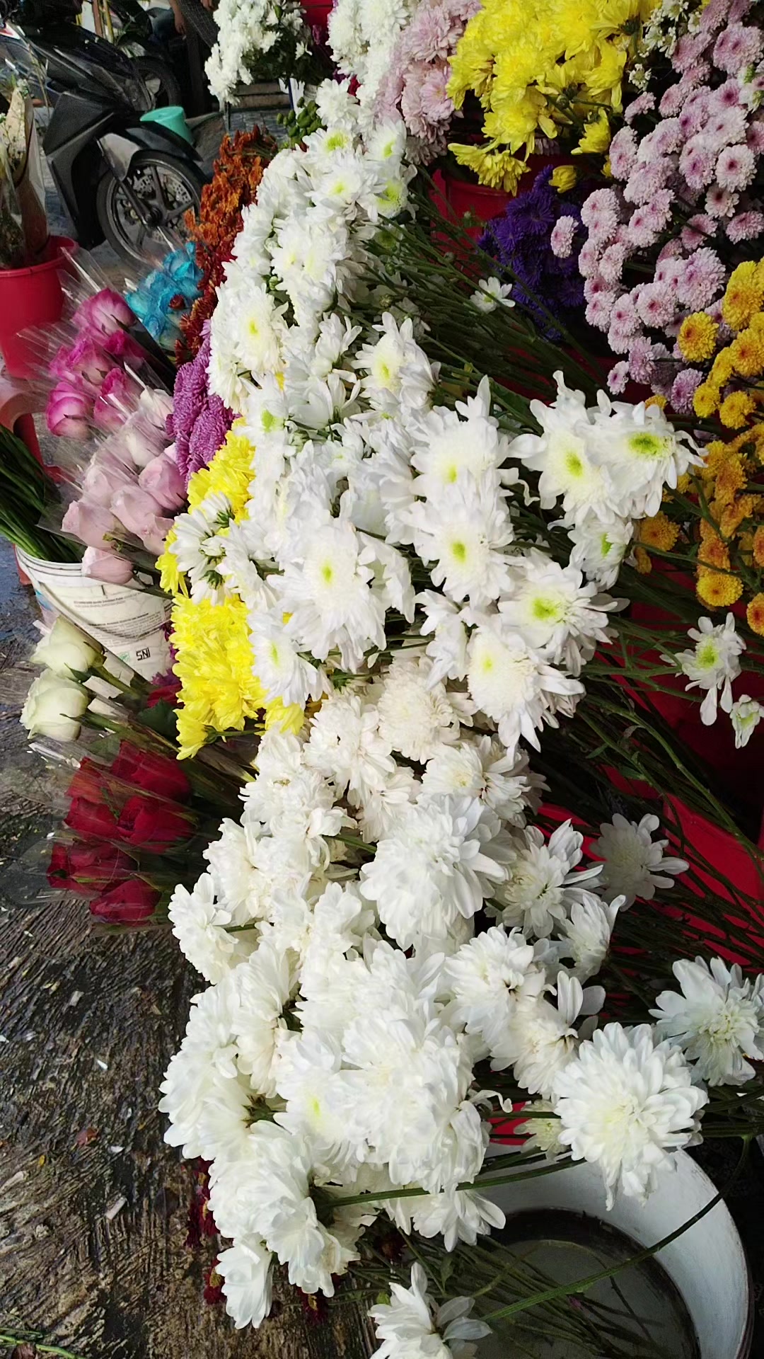 @kabir florist