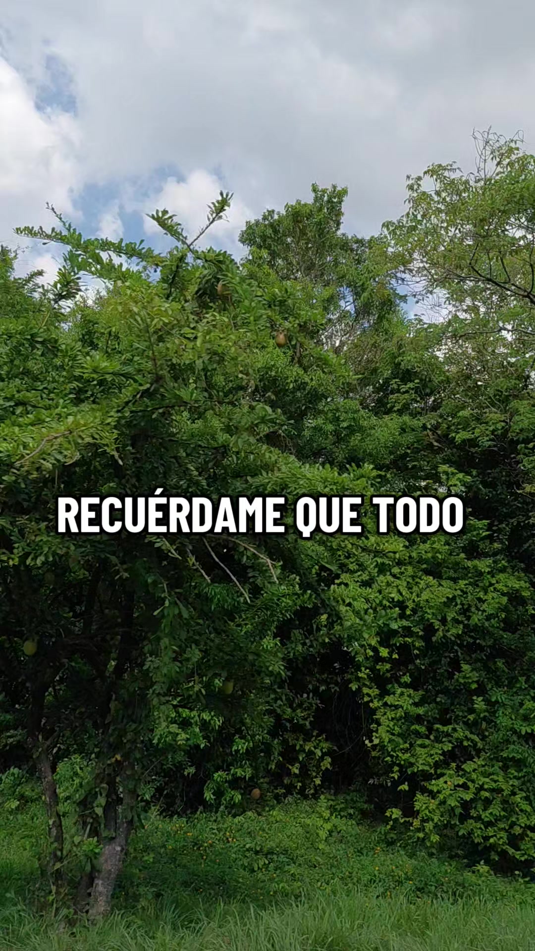 @Patricia Berdugo