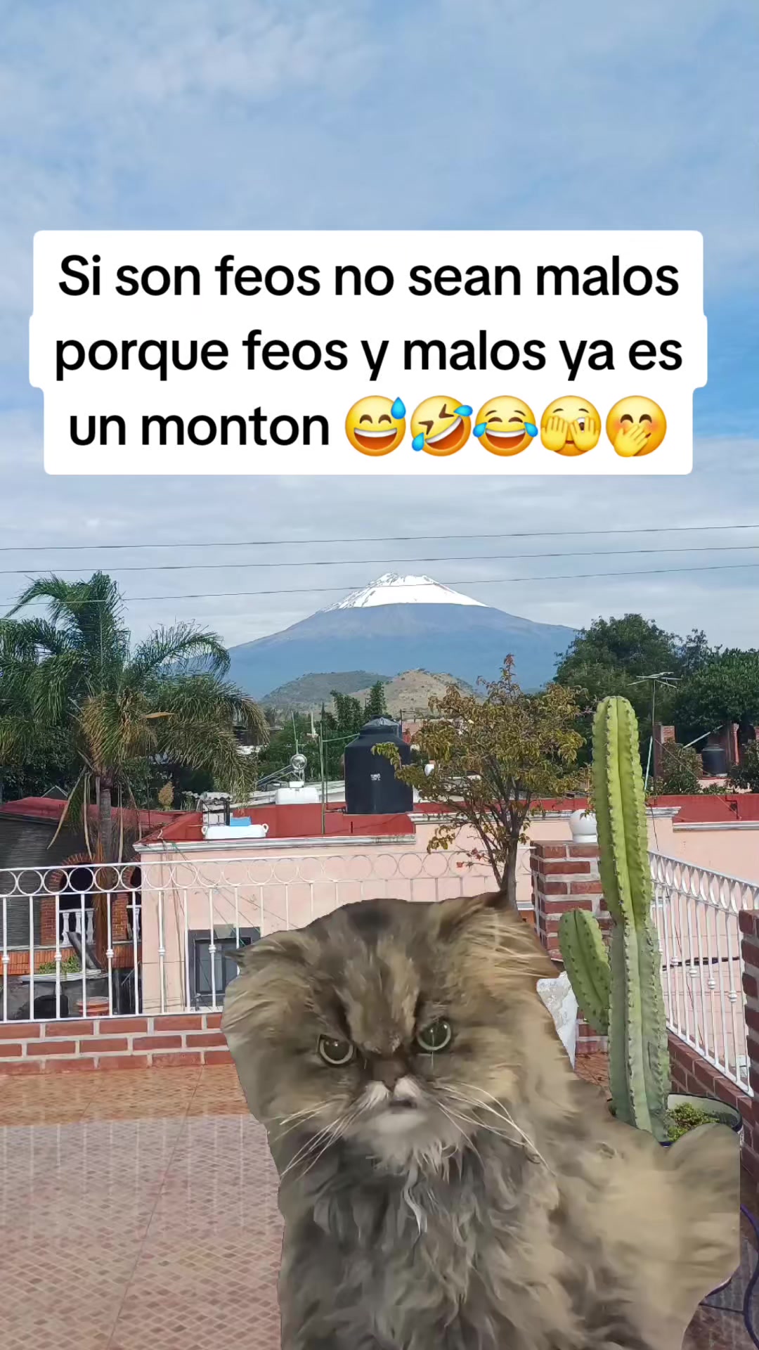 @✨️🫀la Güera🕊🍓