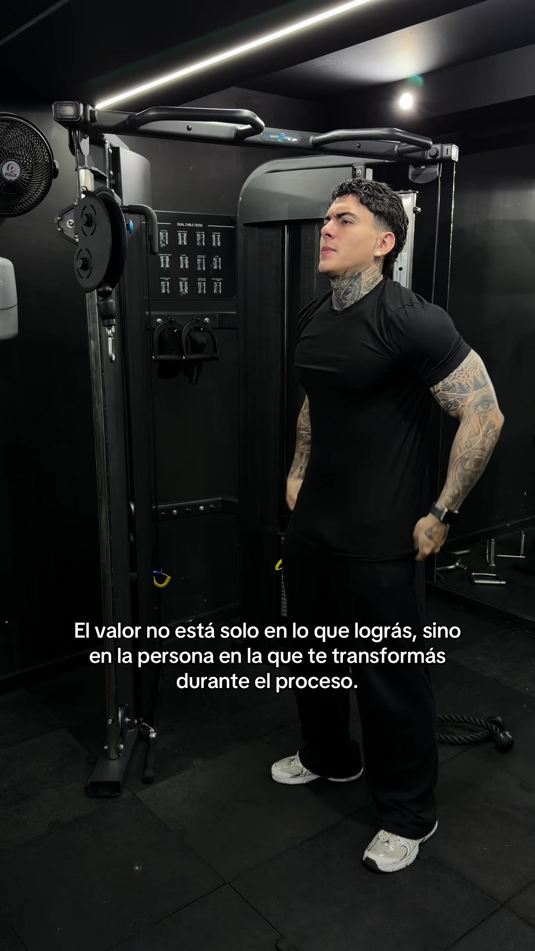 @Dani Machado 🦉