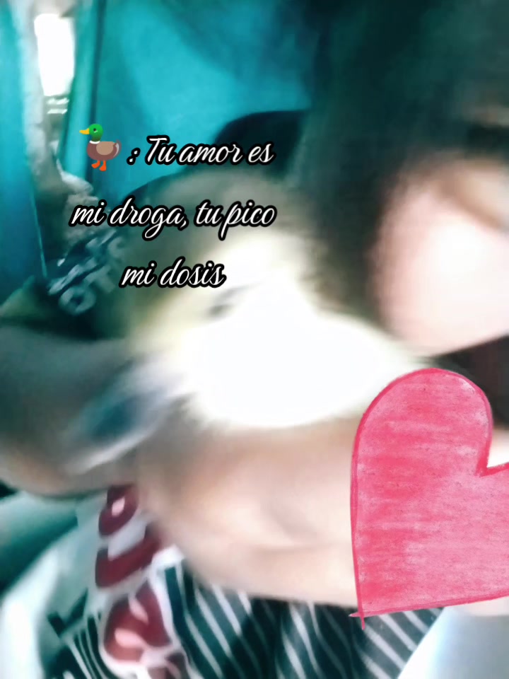 @❤️ TÓXICA 💙