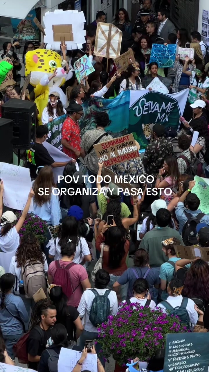 @DENISSE CERVANTES