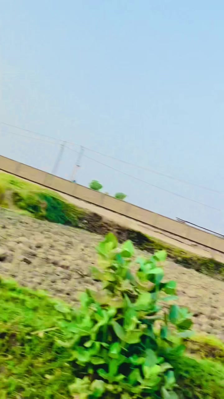 @panjujaan22