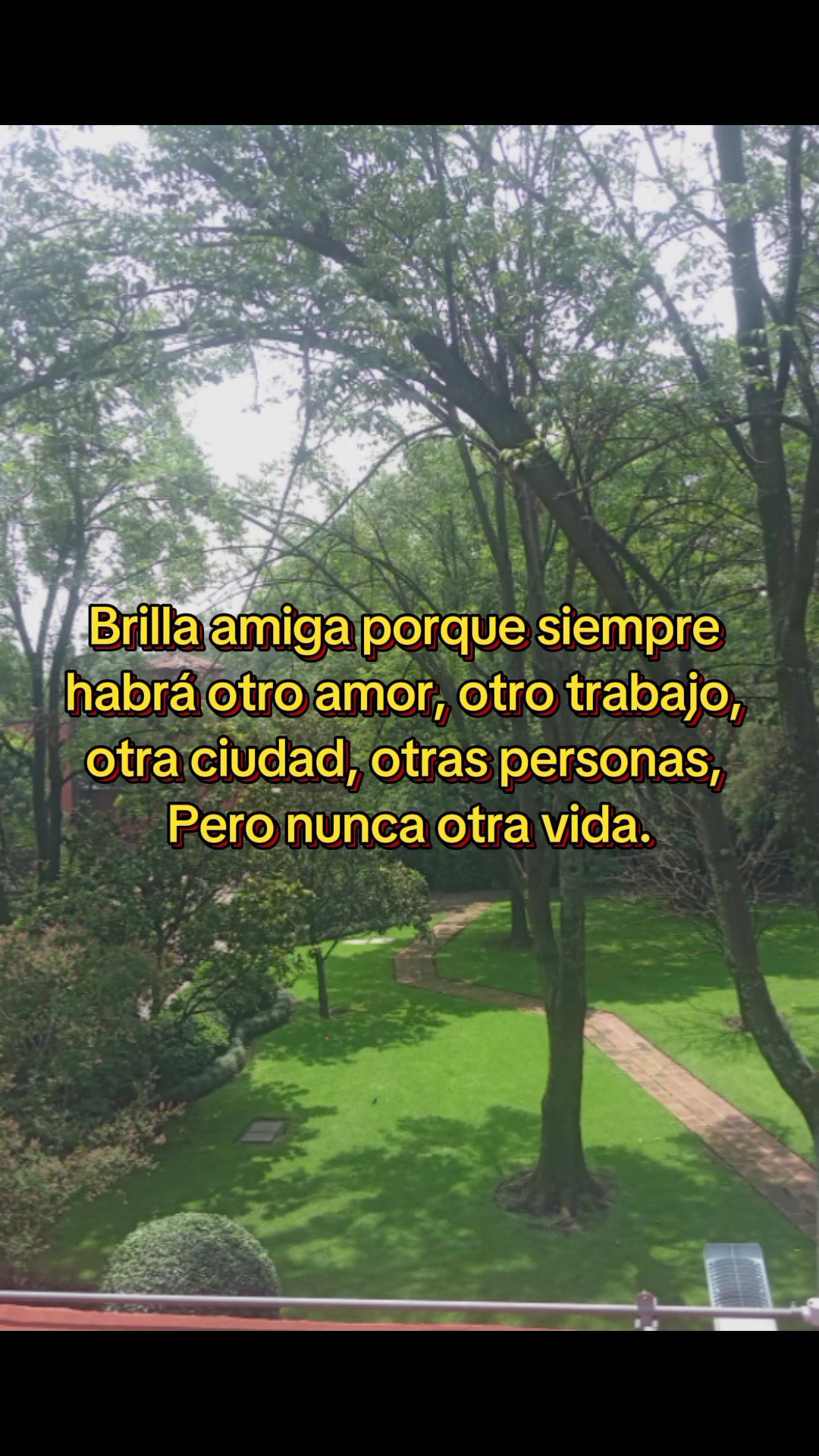 @paubonii