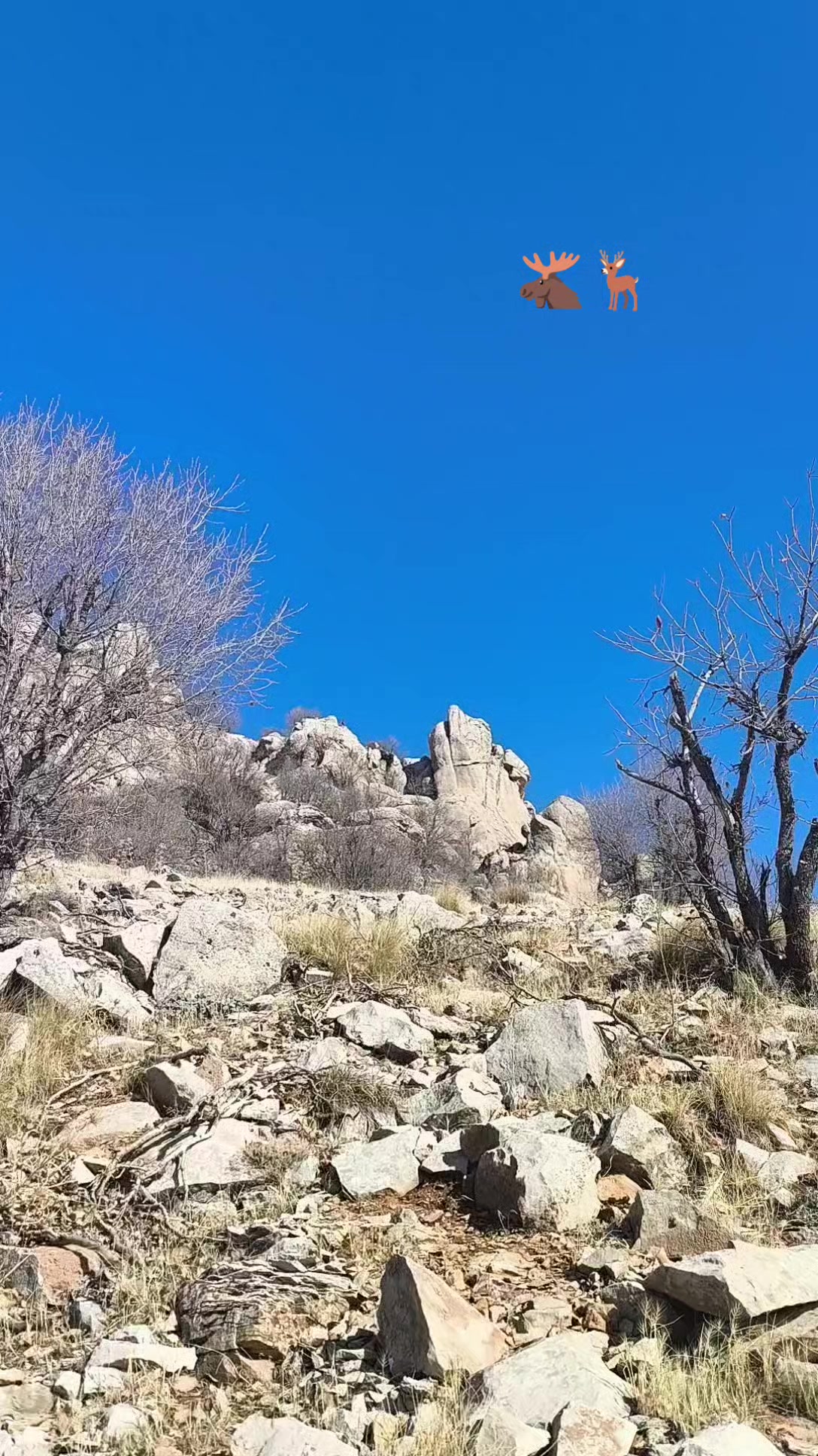 @21çermik
