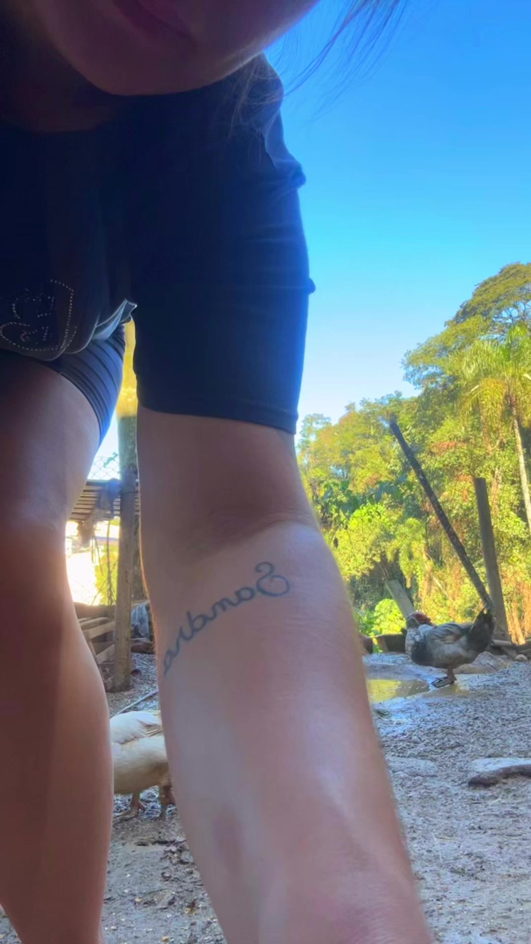 @Galinhas da Brandão 🐓🐣🐥🪿🥰