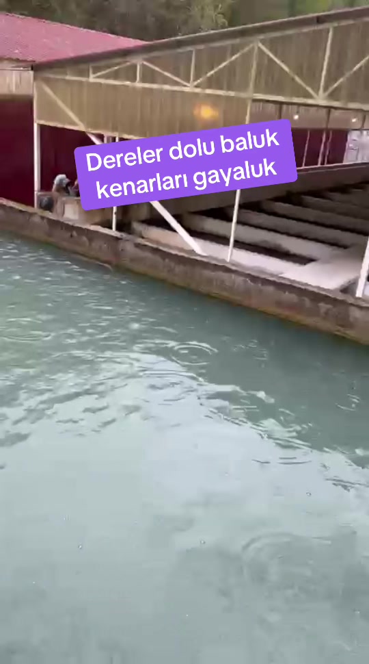 @Samsunlu Hüseyin