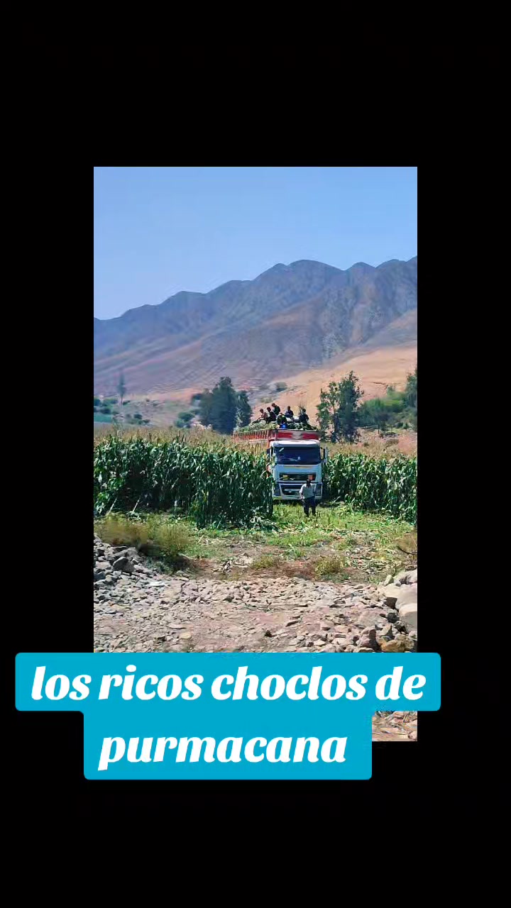 @Lizeth H.