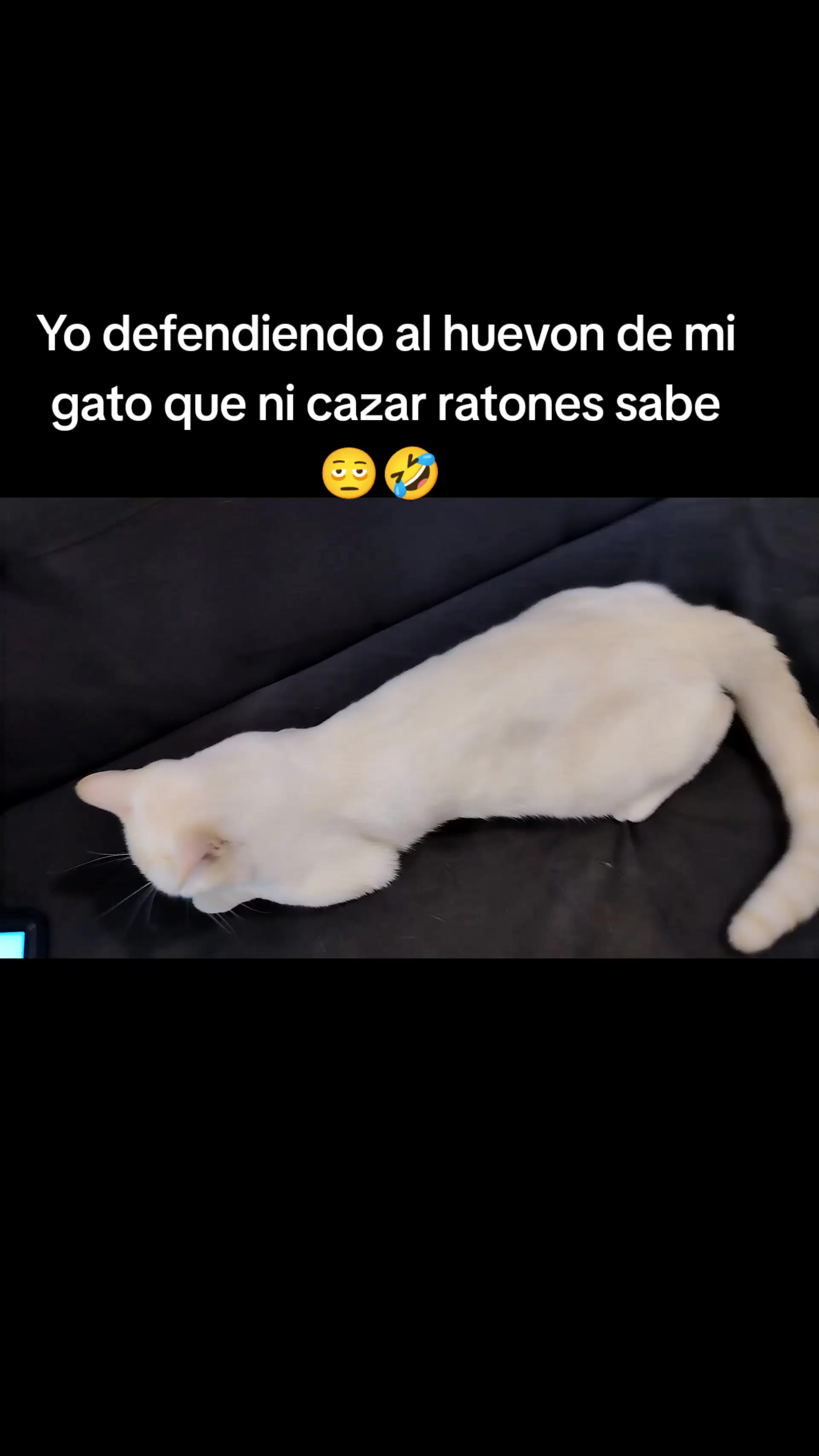 @berenice aguilar