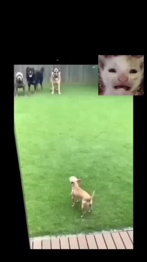 @Beto Jim&eacute;nez_5
