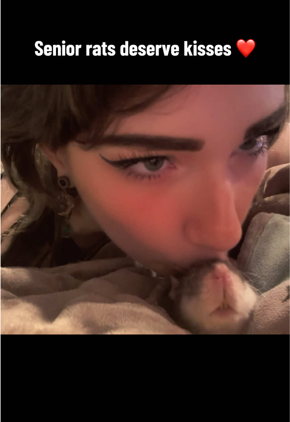 @lookatmyrodents