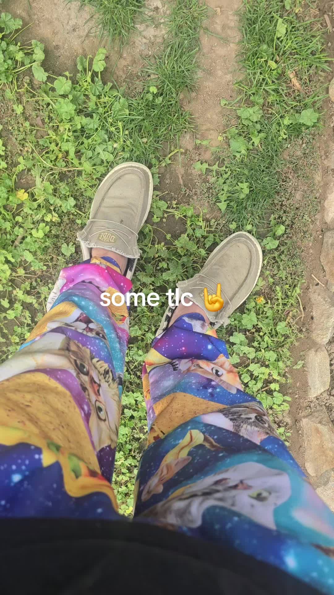 @grumpykore