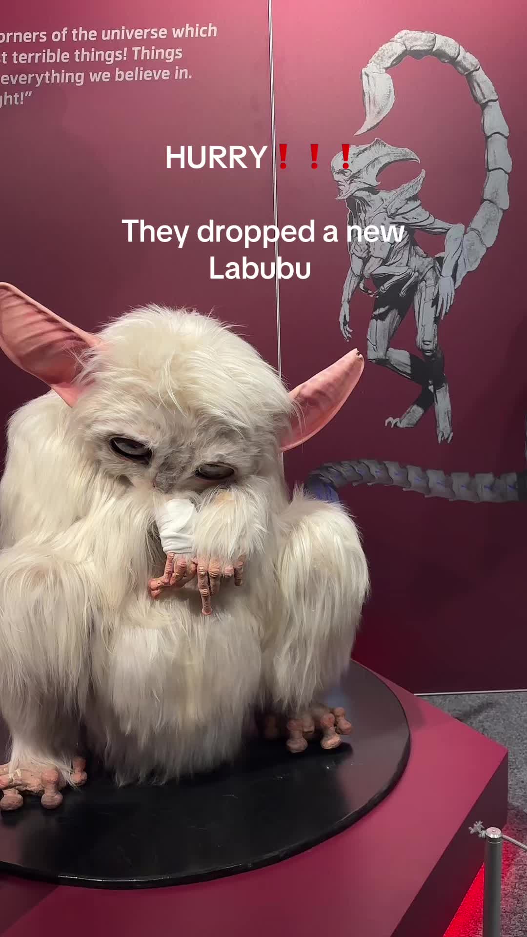 @gigi