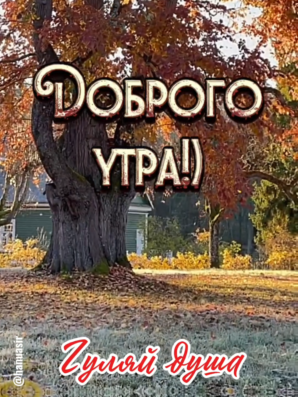 @Александр