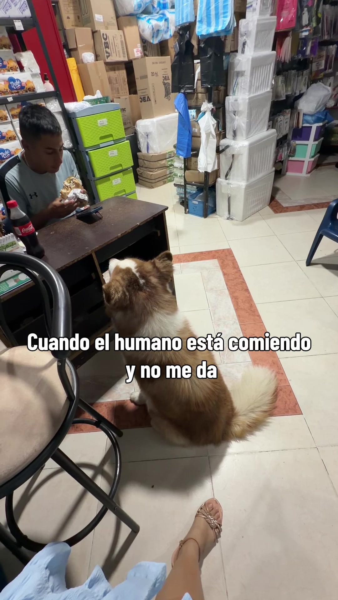 @Alan