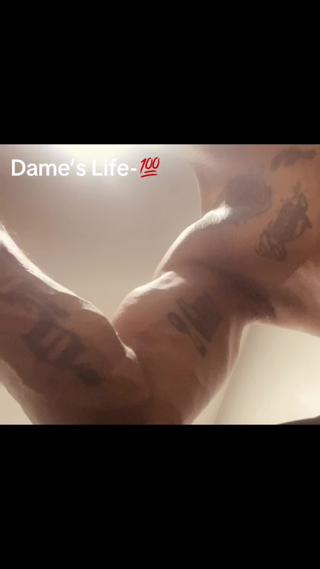 @damonfiles
